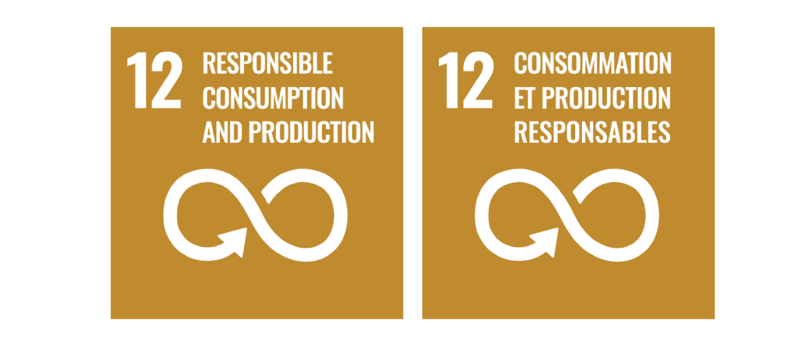 SDG 12 En & Fr