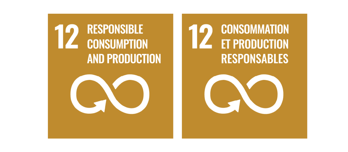 SDG 12 En & Fr